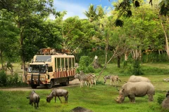 Bali Safari & Marine Park