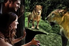 Bali Zoo