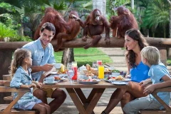 Bali Zoo