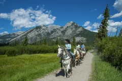 Banff City Tours