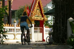 Bangkok Bike Tours