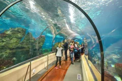 Barcelona Aquarium