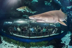 Barcelona Aquarium
