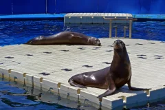 Barcelona Aquarium