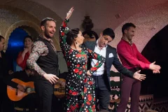 Barcelona Flamenco Shows