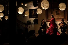Barcelona Flamenco Shows