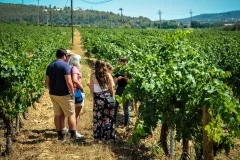 Barcelona Wine Tours