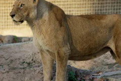 Barcelona Zoo