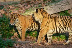 Barcelona Zoo