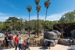 Barcelona Zoo