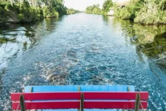 Barefoot Queen Riverboat Cruises