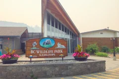 BC Wildlife Park
