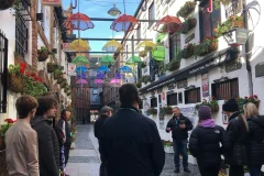 Belfast City Tours