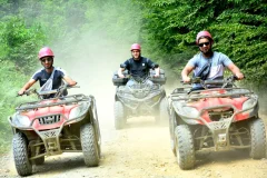 Belgrade Forest Activities