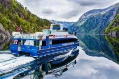 Bergen Day Trips