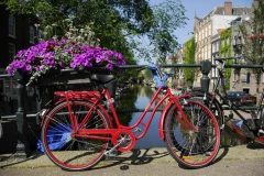 Bike Rentals Amsterdam