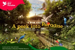 Bird Paradise Singapore