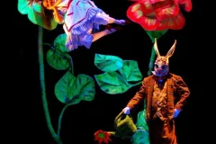 Black Light Theater SRNEC