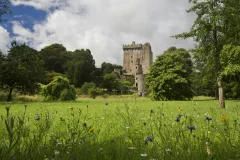 Blarney Castle & Cork Day Trips from Dublin