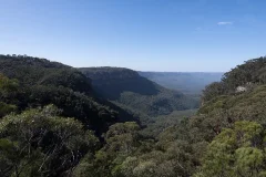Blue Mountains National Park