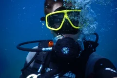 Blue waters dive cove diving centre