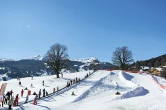 Bodmi Arena