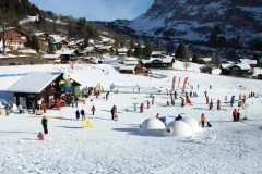 Bodmi Arena