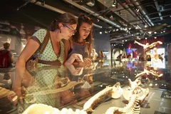 BODY WORLDS Berlin