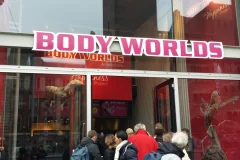 BODY WORLDS - The Happiness Project