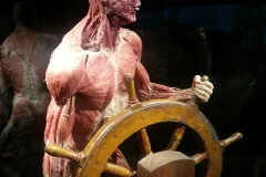 BODY WORLDS - The Happiness Project