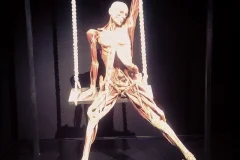 BODY WORLDS - The Happiness Project