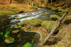 Bohemian Switzerland National Park