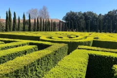 Borges Labyrinth