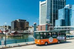 Boston City Tours