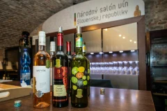 Bratislava City Tours