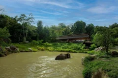 Bukit Elephant Park