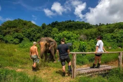 Bukit Elephant Park