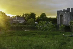 Bunratty Castle & Folk Park