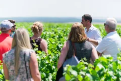 Burgundy Day Trips from Paris