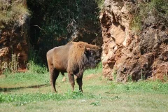 Cabárceno Nature Park