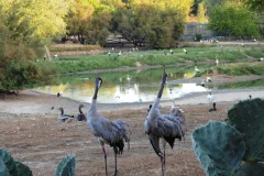 Cañada de los Pájaros