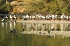 Cañada de los Pájaros
