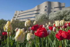 Canadian Museum of History