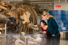 Canadian Museum of Nature