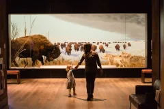 Canadian Museum of Nature