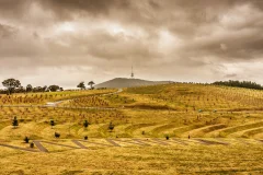Canberra City Tours
