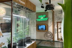 Cannabis Museum Amsterdam