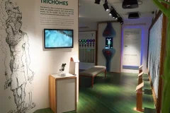 Cannabis Museum Amsterdam