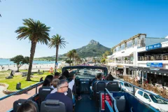 Cape Town Bus Tours
