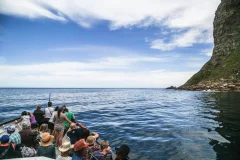 Cape Town Sightseeing Cruises